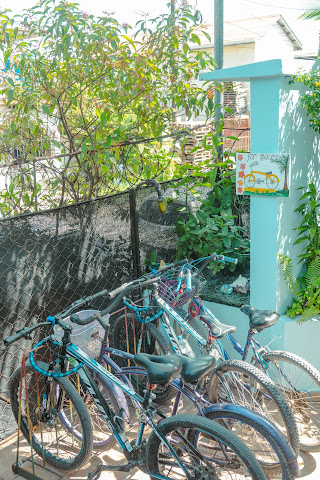 Surfari Bocas by null