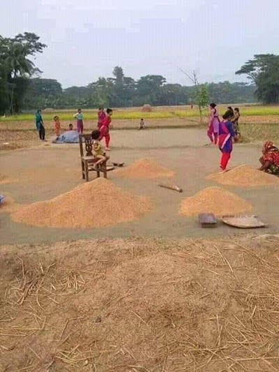Photos of মাটির মসজিদ