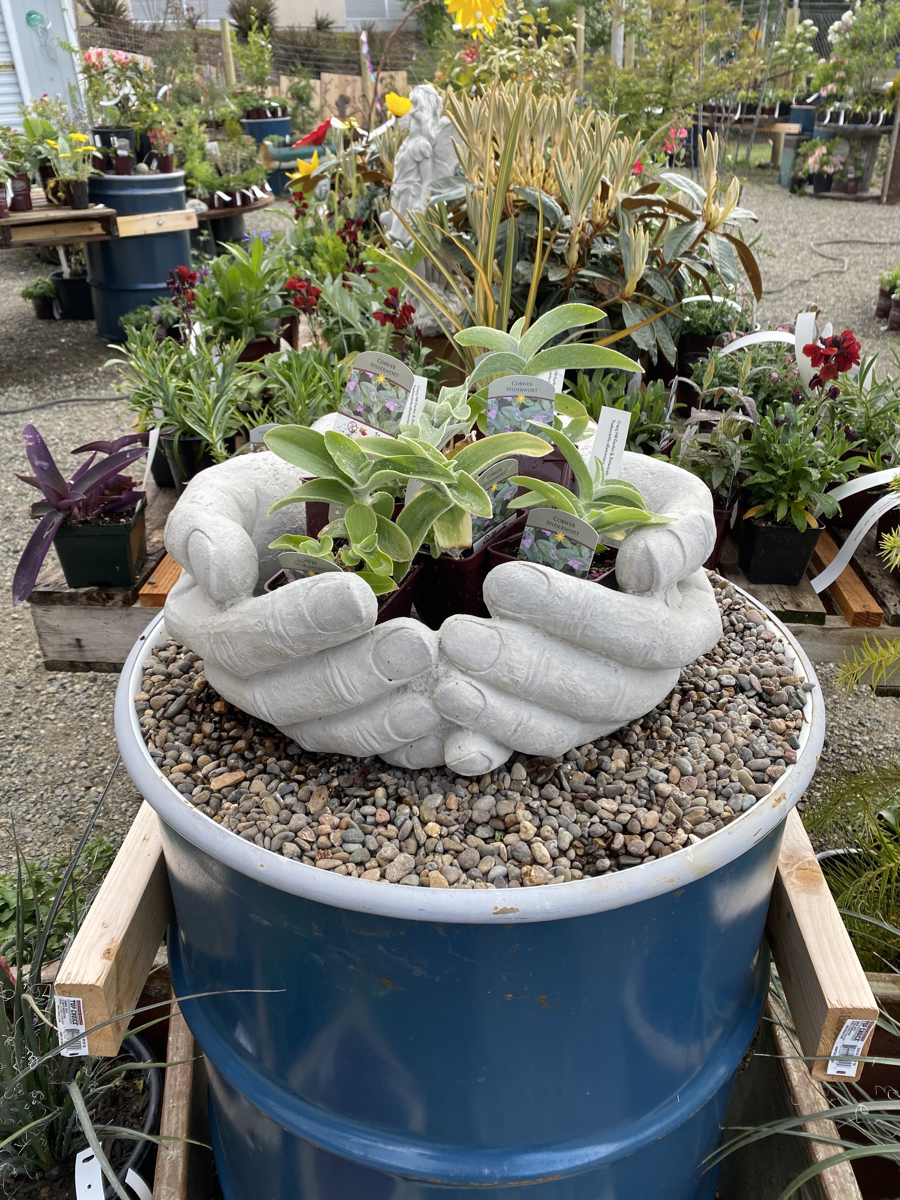 Crazy Hill Garden & Botanicals