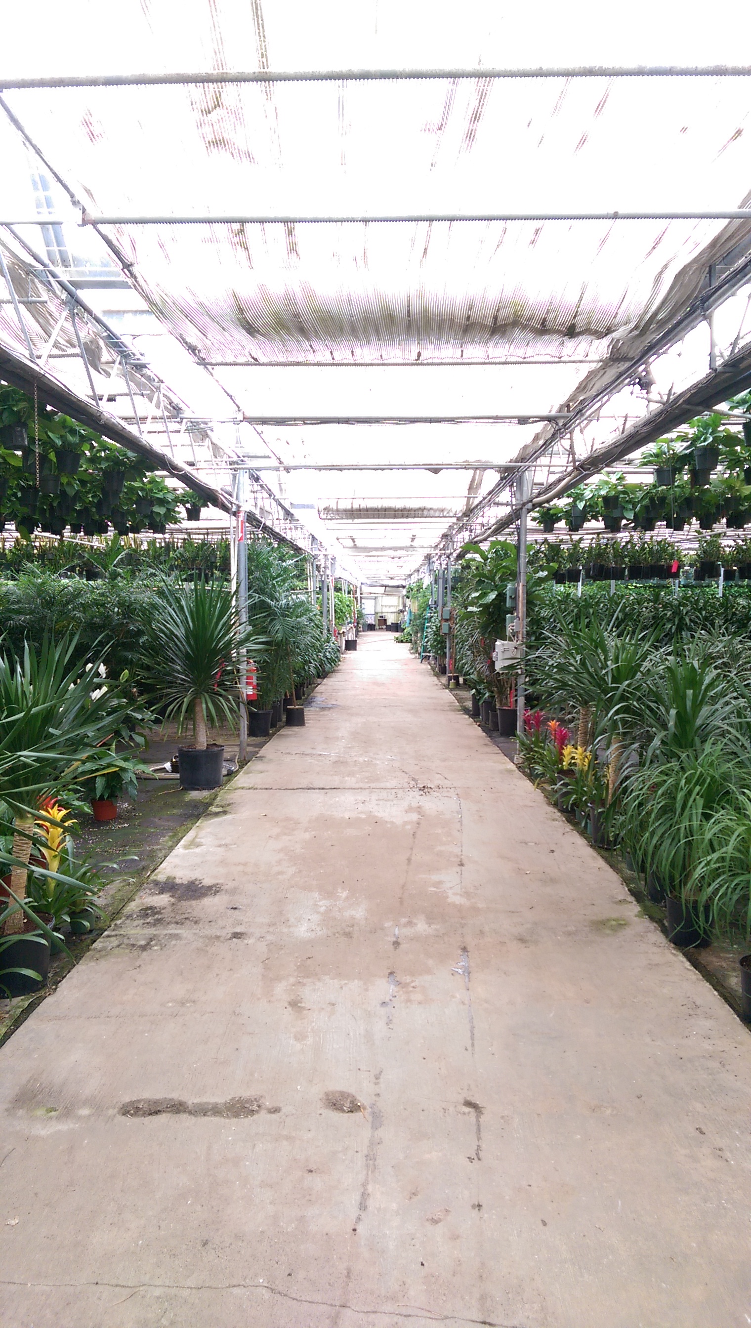 West Coast Nurseries