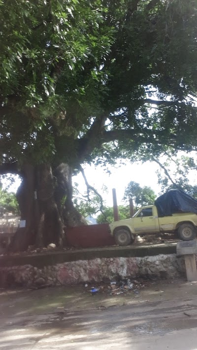 park