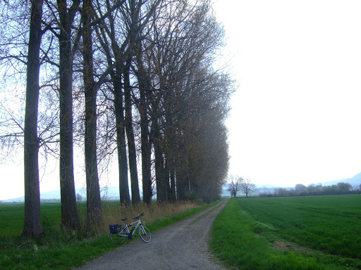 Im Hallertal - Thumbnail