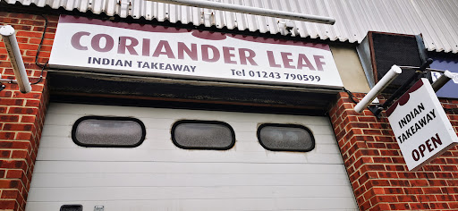 Coriander Leaf - Visual