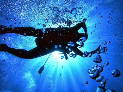 'Diving Services Sas' - Visual