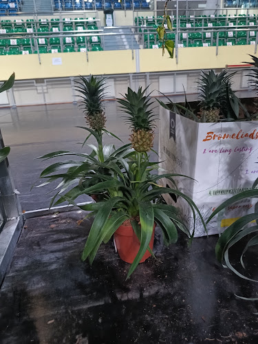 Hala Sportowo-Widowiskowa - Elbląg