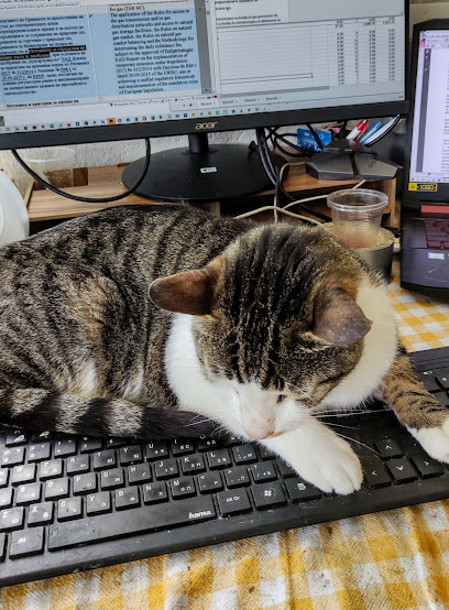 ЕлиСмарт Дизайн