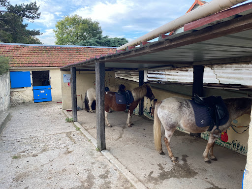 Équitation Mers-Les-Bains - Thumbnail