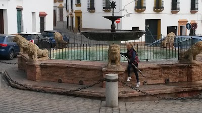 Photos of Quartos City Apartments Carmona