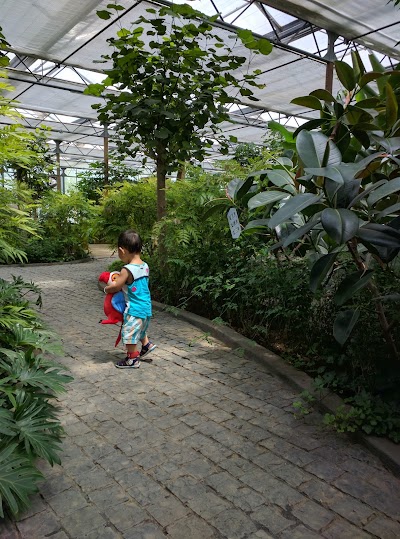 Photos of Nangongyuan Park