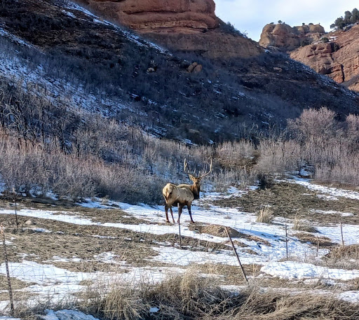 Echo canyon wildlife management area - Thumbnail