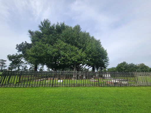 JohnsTon Family Cemetery - Thumbnail