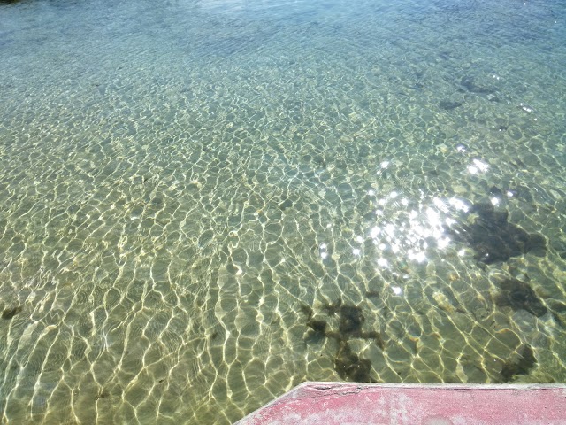 Hunter Springs Park
