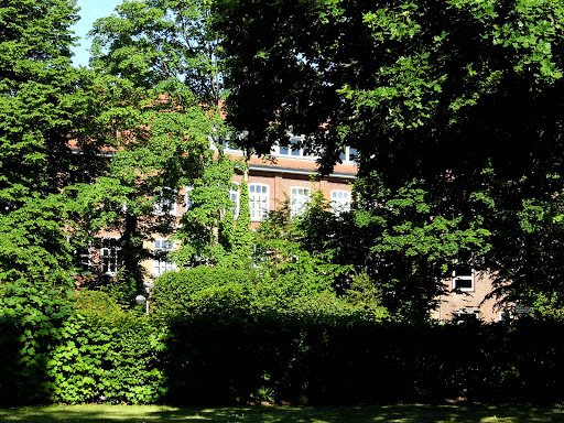 Anna Warburg School - Thumbnail