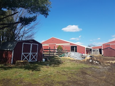 Photos of Haycock Riding Stables Inc