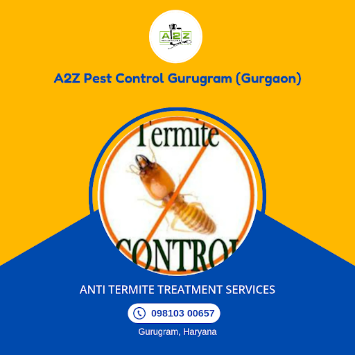 Anti Termite Treatment Services