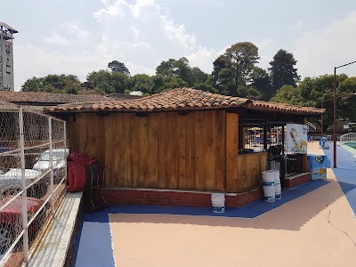 Photos of Balneario Cholinde