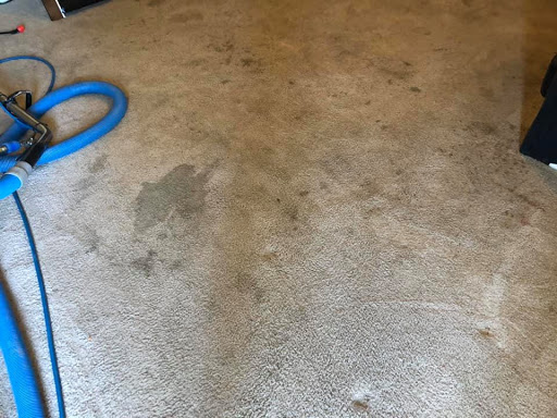 David's Carpet Cleaning by Kimberly Dawn - Thumbnail