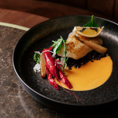 Piwnica Rajców by null