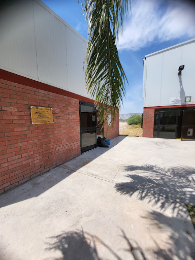 TecNM - Campus Lerdo - Visual