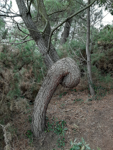 Photo de Villa Océane - Ehpad à Belz (56) | LNA Santé à Naizin (56500)