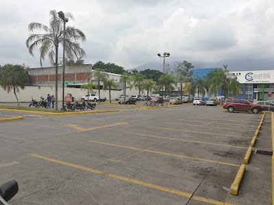 Photos of megapaca sps