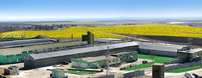 Photos of BON OIL