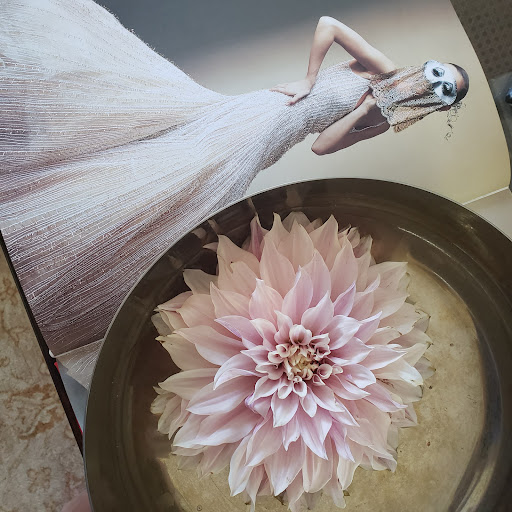 Petalwhimsy - Thumbnail