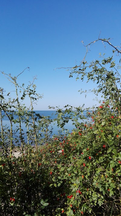 Photos of Guest House Vidlauči