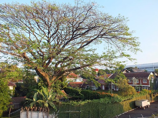 Kostella Tanjung Duren, Author: Kostella Tanjung Duren