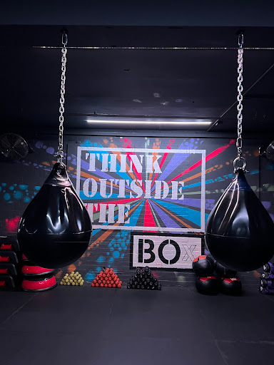 BOx Studio - Visual