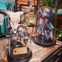 Photo n°28 de Ginkgo & Paon Curiosités à Toulouse (Fleuriste)