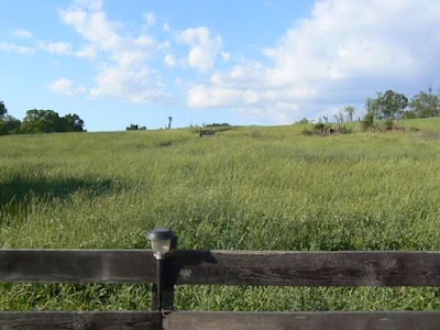 Photos of J & L Green Farm LLC