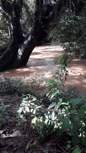 Río El Amate - Thumbnail