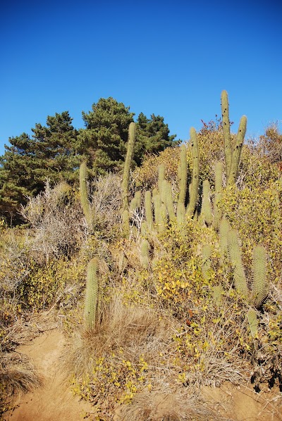 Photos of Reserva Nacional Parque El Canelo