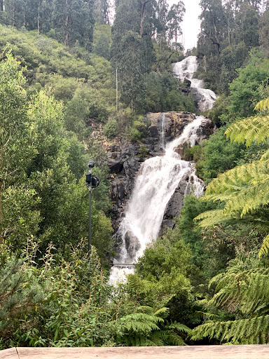 Steavenson Falls
