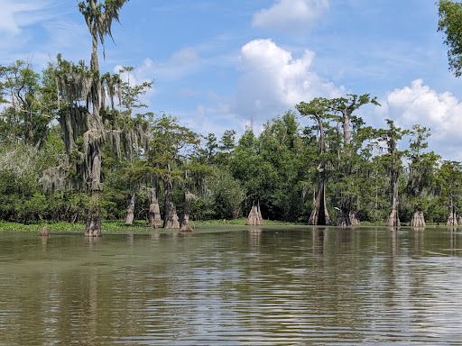 Beyond the Bayou Tours - Thumbnail