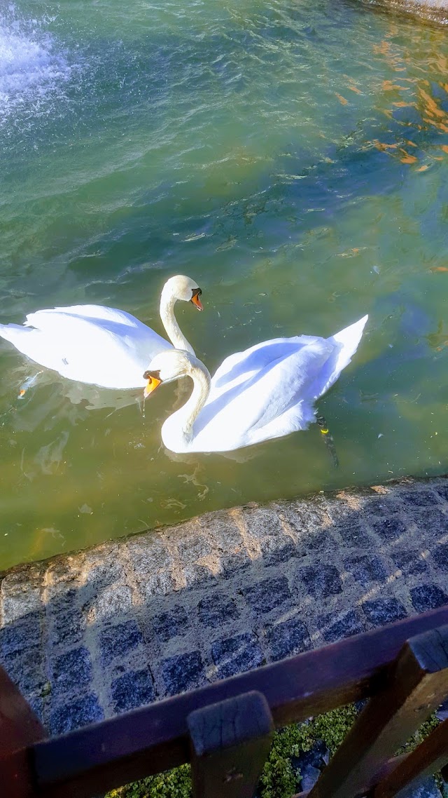 Kugulupark Restaurant & Cafe