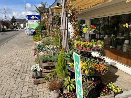 Blumenladen Schär - Thumbnail