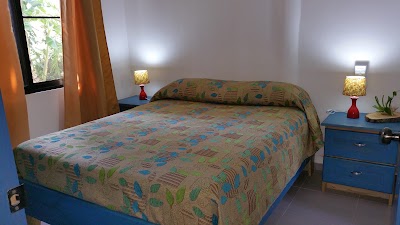 Photos of Las Olitas