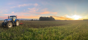 Photo n°1 de La Ferme d'Ernestine à Ibos (Ferme bio)