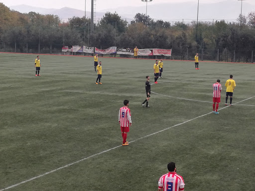 Frosinone Calcio, Giovanili