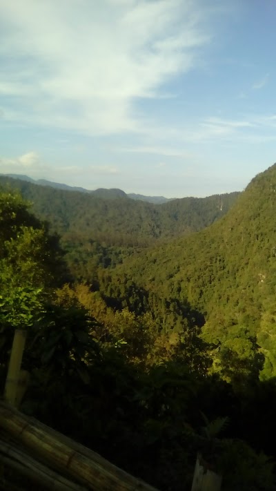 Photos of Restaurante La Selva