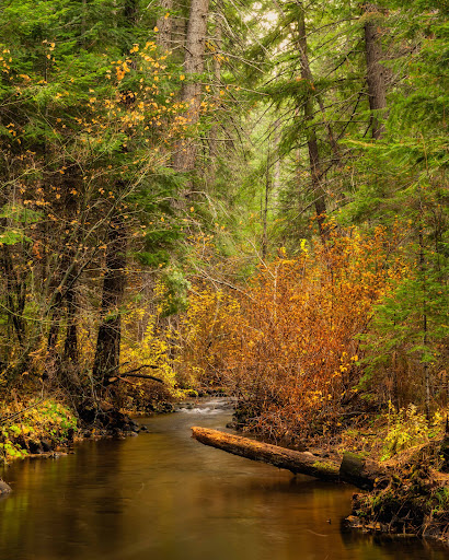 Metolius Preserve - Thumbnail