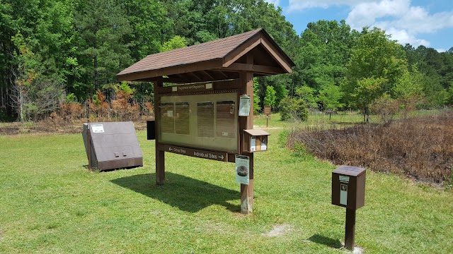 Congaree National Park