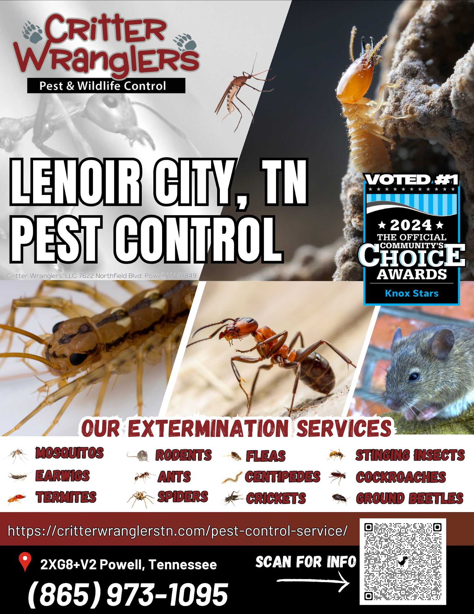 pest extermination service lenoir city tennessee