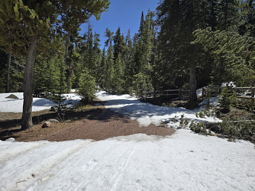 North Tongue Campground - Thumbnail
