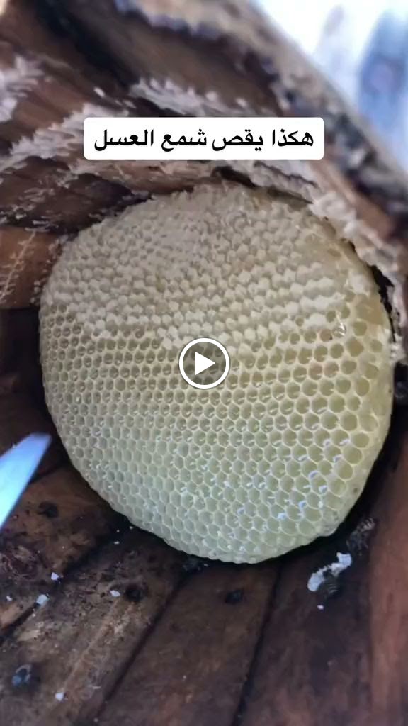 متجر فطور و عسل/متجر اكتروني - صورة 2