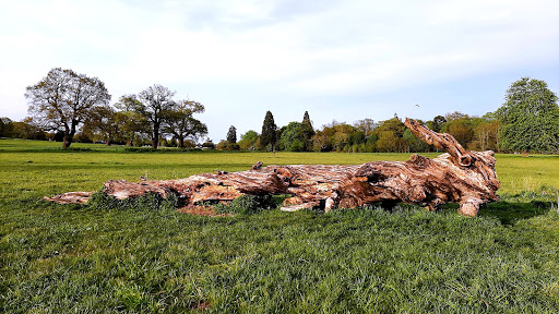 Catton Park - Visual