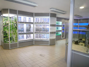 Photo n°15 de Aquafeeling à Laruscade (Fabricant)