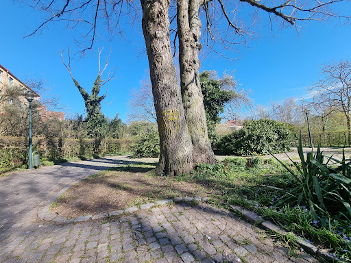Vårfruparken - Visual